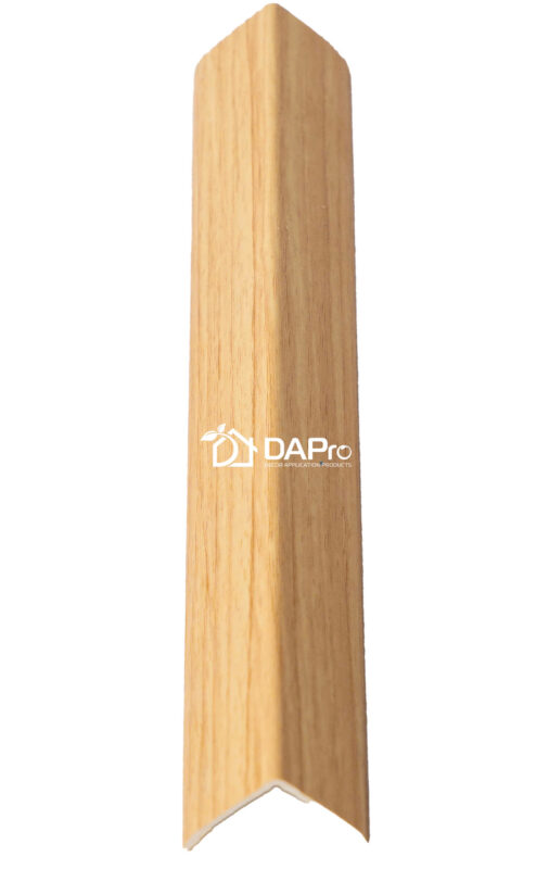 DAP Technology Investment Joint Stock Company